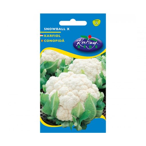 Rédei Kertimag Snowball X karfiol vetőmag 1g A