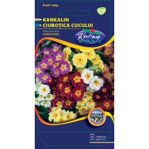 Rédei Kertimag Kerti Kankalin Színkeverék Rédei Kertimag Kerti Kankalin Színkeverék