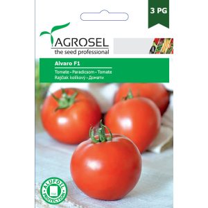 Agrosel Alvaro F1 Paradicsom 9 szem