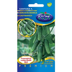 Rédei Kertimag Santana F1 uborka vetőmag 1g Rédei Kertimag Santana F1 uborka vetőmag 1g
