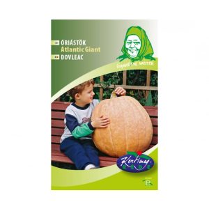 Rédei Kertimag Óriás Tök Atlantic Giant vetőmag 6 szem