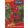 Rédei Kertimag Bohócsapka (Tulipánpaprika) Chili 20 szem 'D'