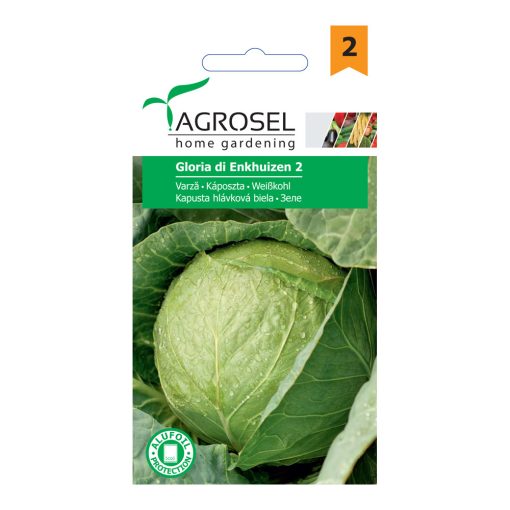 Agrosel Gloria di Enkhuizen 2 káposzta 4 g.