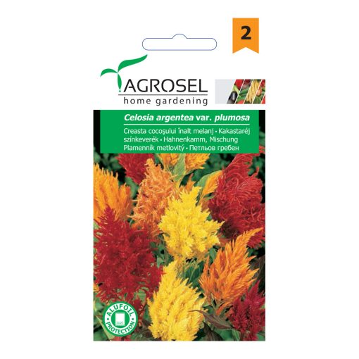 Agrosel Kakastarély Plumosa színkeverék 0,5 g.