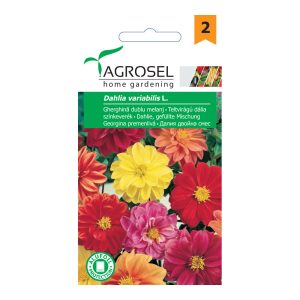 Agrosel Dália teltvirágu színkeverék 1 g. Agrosel Dália teltvirágu színkeverék 1 g.