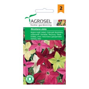 Agrosel Díszdohány színkeverék 1 g. Agrosel Díszdohány színkeverék 1 g.