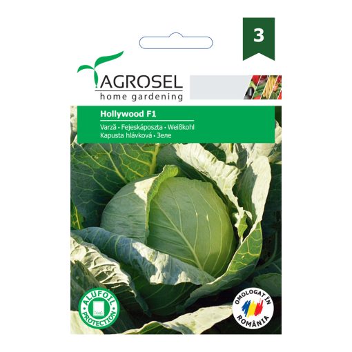 Agrosel Hollywood F1 káposzta 200 szem