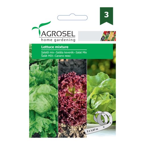 Agrosel Saláta keverék banda g.