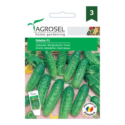 Agrosel Odette F1 berakóuborka 20 szem