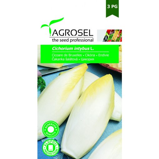 Agrosel Cikória De Bruxelles 5 g.