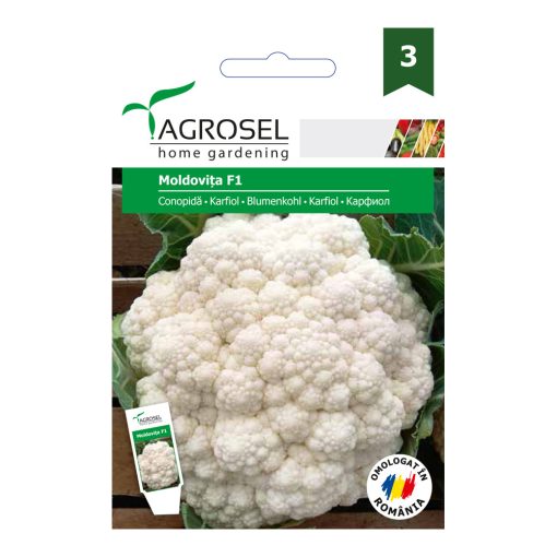 Agrosel Moldovita F1 karfiol 120 szem