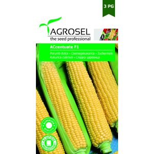 Agrosel Accentuate F1 csemegekukorica 40 szem