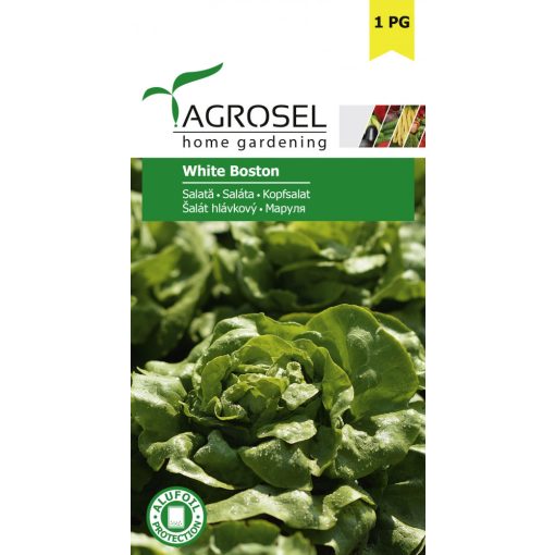 Agrosel White Boston saláta 1,75 g.