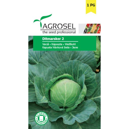 Agrosel Ditmarsker 2 káposzta 4 g.