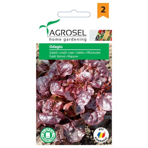 Agrosel Odagiu saláta 4 g.