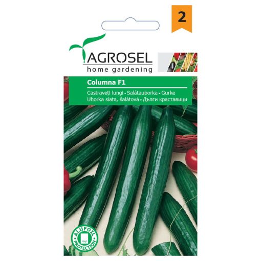 Agrosel Columna F1 kígyóuborka 5 szem