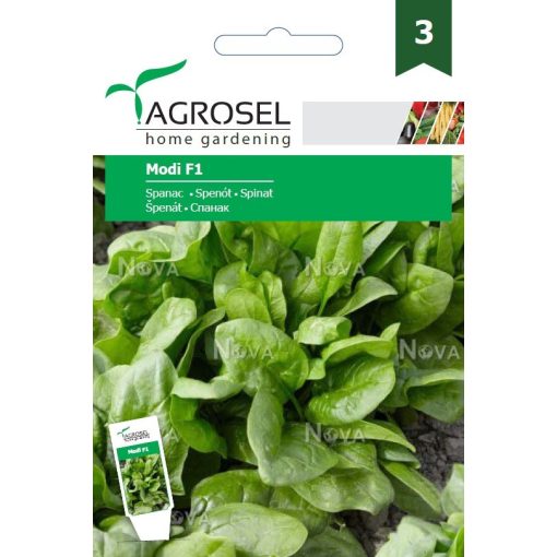 Agrosel Modi F1 spenót 3,5 g.
