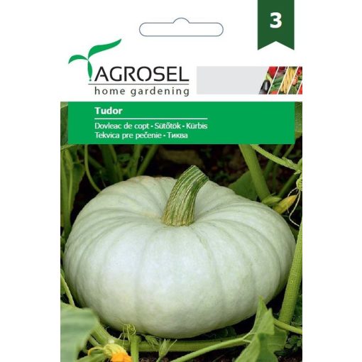 Agrosel Tudor sütőtök 5 g.