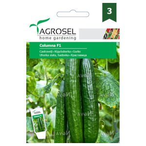 Agrosel Columna F1 kígyóuborka 12 szem