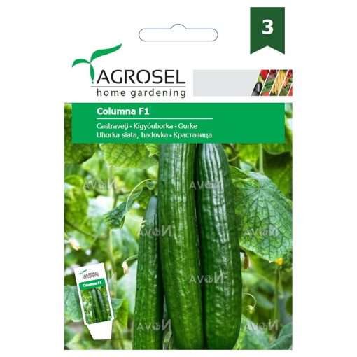 Agrosel Columna F1 kígyóuborka 12 szem