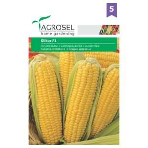 Agrosel Glikos F1 csemegekukorica 75 szem