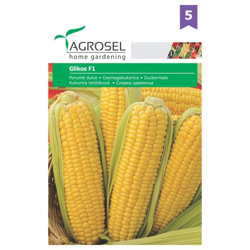 Agrosel Glikos F1 csemegekukorica 75 szem