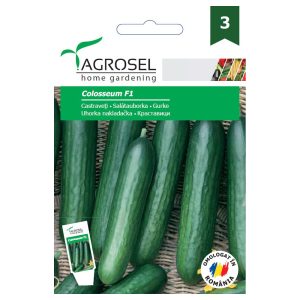 Agrosel Colosseum F1 salátauborka 20 szem