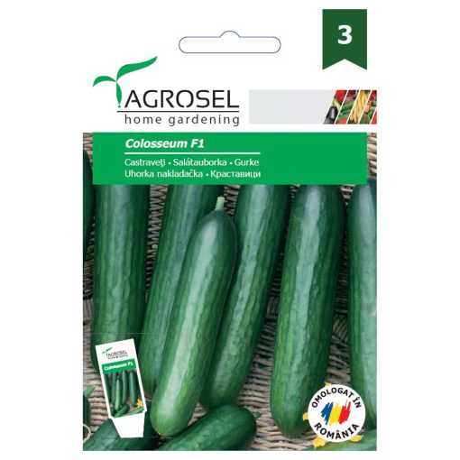 Agrosel Colosseum F1 salátauborka 20 szem