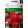 Agrosel Yulka retek 10 g.