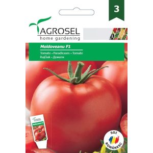 Agrosel Moldoveanu  F1 paradicsom 10 szem