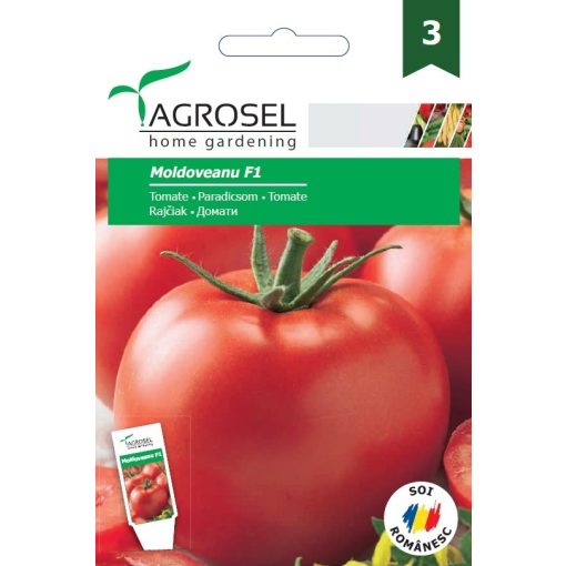 Agrosel Moldoveanu  F1 paradicsom 10 szem