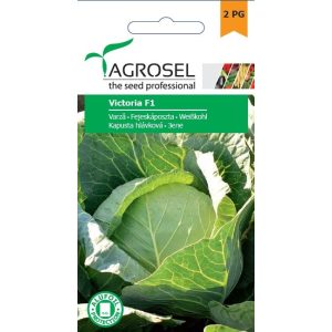 Agrosel Victoria F1 káposzta 80 szem Agrosel Victoria F1 káposzta 80 szem