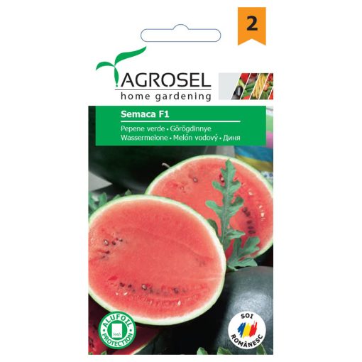 Agrosel Semaca F1 görögdinnye 5 szem