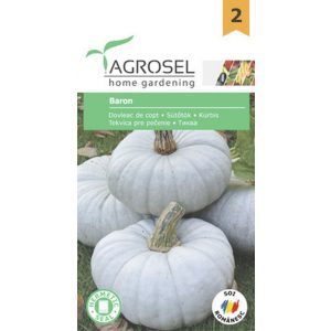 Agrosel Baron sütőtök 3 g.