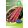 Rédei Kertimag STROMBOLI Bab 50g. D