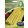 Rédei Kertimag CARSON Bab 100g. J