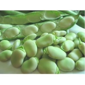 Rédei Kertimag LÓBAB Bab DE MONICA 50g. C