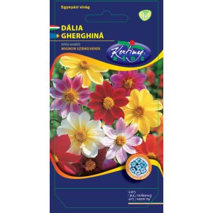 Rédei Kertimag Dália Színk Rédei Kertimag Dália Színk