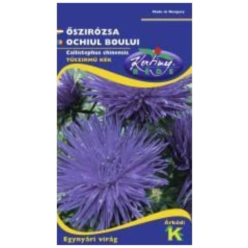 Rédei Kertimag Őszirózsa Tűszirmú Kék