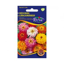 Rédei Kertimag Kaktusz virágú rézvirág (színkeverék) 1g A